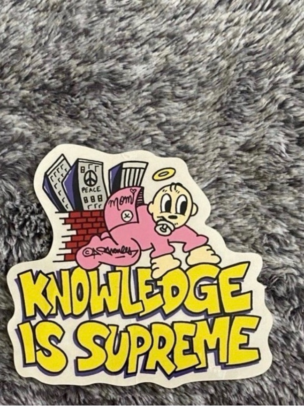 Supreme Sticker, Knowledge Is Supreme, SS22